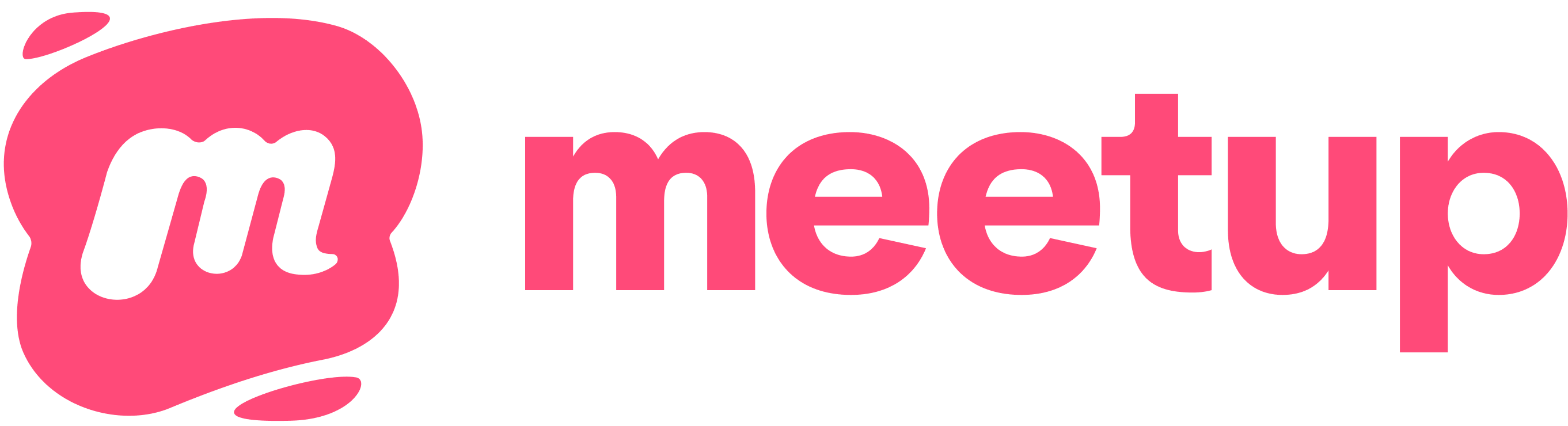 Meetup Pro by SynEdgy